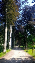 Piataci